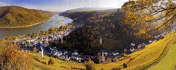 View of Bacharach and the Rhine in autumn, UNESCO World Heritage Upper Middle Rhine Valley,