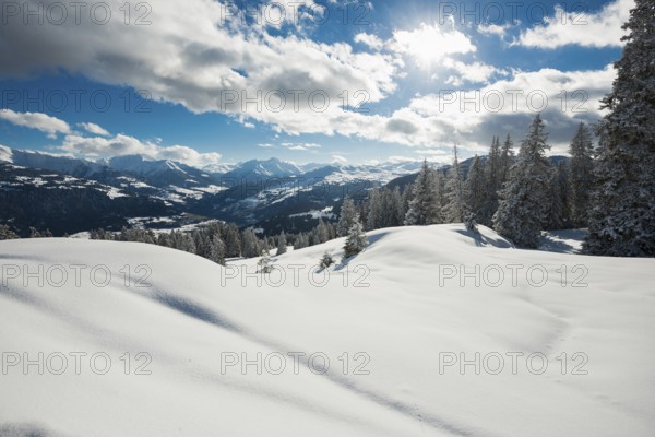 Snow-covered winter landscape, above Flims and Laax, view of the Vorderrheintal, Canton of