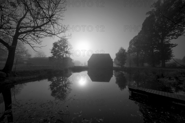 Morning sun over the estate pond on a foggy morning at Gut Othenstorf, Othenstorf near Rehna,