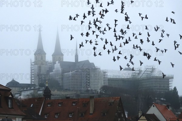 Bamberg Cathedral, fog, winter, Bavaria, Germany, Europe
