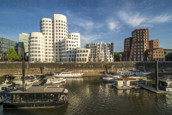 The Neue Zollhof with the Gehry buildings by architect and designer Frank Gehry in the Media