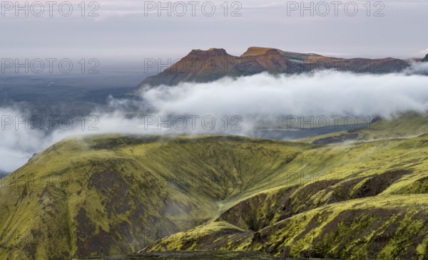 Fog between mountains, moss-covered volcanic mountain landscape, at sunset, Pakgil, Iceland, Europe
