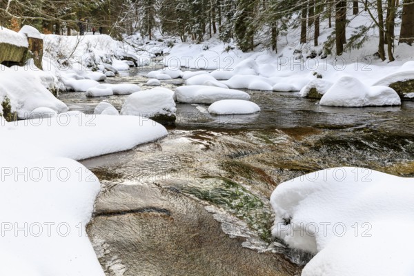 River Mummel in the snow, above Harrachsdorf in the Giant Mountains, Czech Republic, Europe