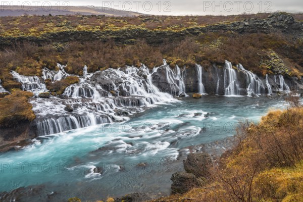 Hraunfossar, waterfalls in autumn, river Hvítá, West Iceland, Vesturland, Iceland, Europe