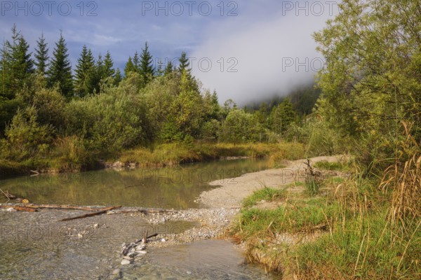 Isar valley nature conservancy area. The wild Isar river flows through its gravel bed past