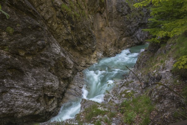 The Lammer creek is flowing fast through the Lammerklamm on a sunny hiking day