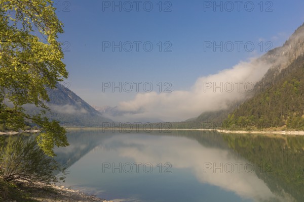 Early morning at the Sylvenstein reservoir, Reservoir in the Isarwinkel, municipality of Lenggries,