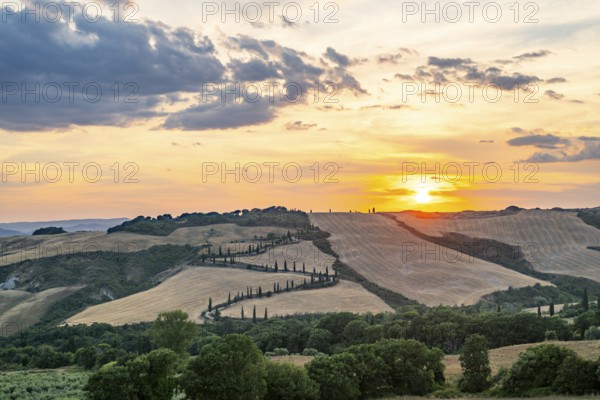 Typical Tuscan landscape in Val d'Orcia with hills, trees, fields, cypresses and farm road in