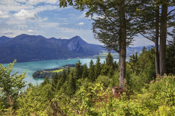 View from Hollerberg to Mondsee with Drachenwand, Mondseeland, Salzkammergut, Upper Austria,