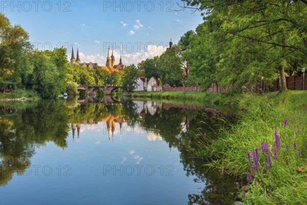 Merseburg Cathedral and Merseburg Castle reflected in the Saale River in the morning light,
