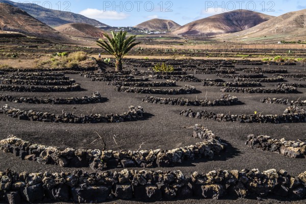 2016, Raimund Franken, Model Release:Not, Property Release: Not Yaiza, Lanzarote, ESP, Spain,