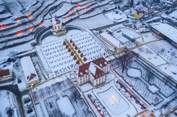 Aerial view of Wackerbarth Castle with castle park, belvedere and vineyards with snow and Christmas