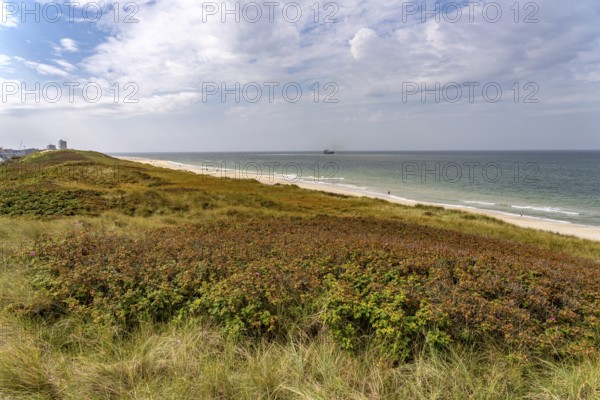 The Weststrand beach near Westerland, Sylt island, North Frisia district, Schleswig-Holstein,