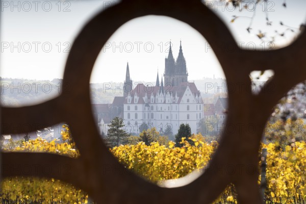 View of Albrechtsburg Castle with cathedral through the stele at the most beautiful wine view in