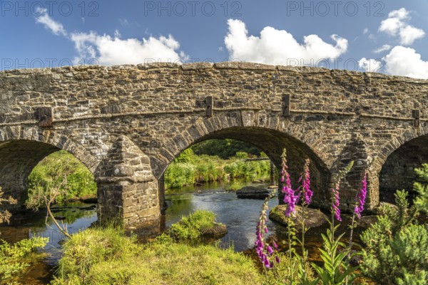 Stone bridge over the East dart river in Postbridge, Dartmoor, Devon, England, Great Britain