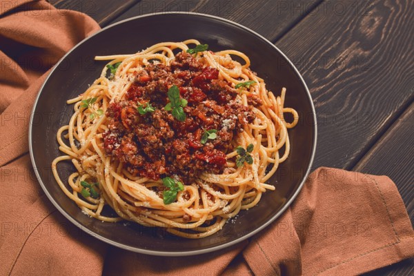 Spaghetti Bolognese, top view, close-up, no people, homemade