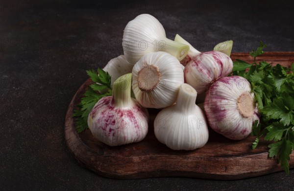 Fresh young garlic, white and purple color, on a wooden table, no people