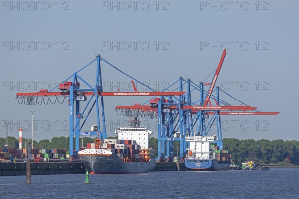 Container ships, Burchardkai container terminal, Norderelbe, Hamburg, Germany, Europe