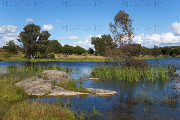 A peaceful lake with rocks, trees and calm water under a clear blue sky, reservoir, Proserpina dam,
