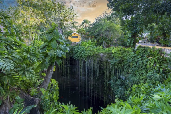 Ik Kil Cenote located in the northern center of the Yucatan Peninsula, a part of the Ik Kil