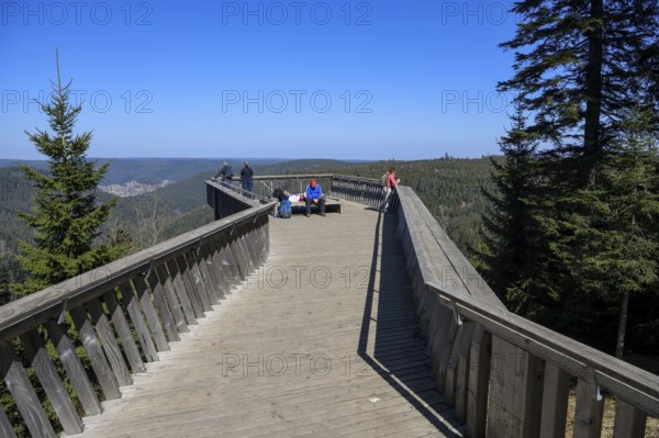 Viewing platform at Ellbachsee, near Baiersbronn, Freudenstadt district, Black Forest,