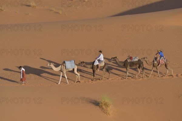 Tourists riding camels in the dunes, Sahara, Meknès-Tafilalet region, Morocco, Africa