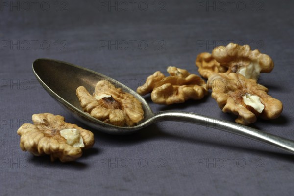 Walnut, Juglans regia, walnuts in spoons