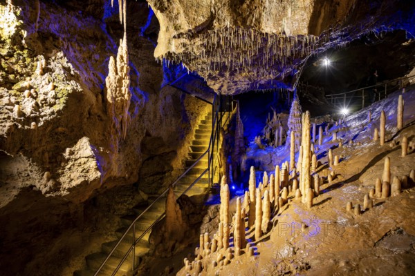 Stalagmites and stalactites in a cave, Devil's Cave Pottenstein, Franconian Switzerland, Franconia,