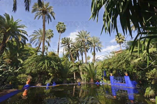 Morocco, Jardin Majorelle Botanical Garden in Marrakech, Africa