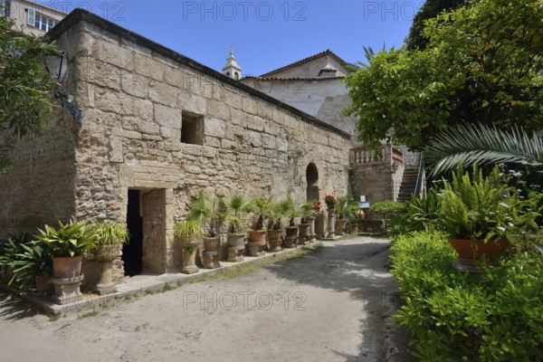 Banys Arabs, Arab Baths, Palma de Mallorca, Majorca, Balearic Islands, Spain, Europe