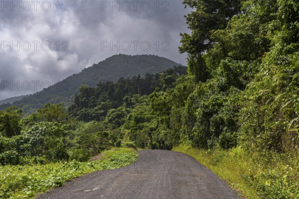 Dirt road, Taveuni, Fiji, South Pacific, Oceania