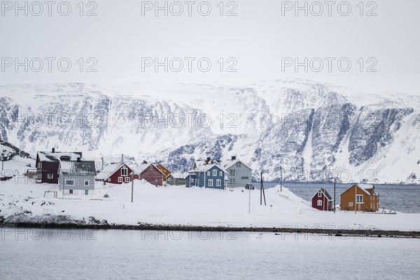 Colourful houses in a snowy landscape, fishing village Kongsfjord, Berlevåg, Varanger Peninsula,