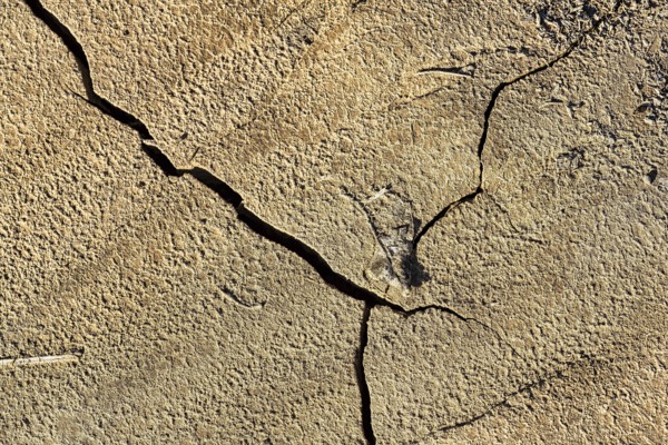 Dry cracks in the ground, pattern, dried mud after flood disaster in Almeria, storm 2012,