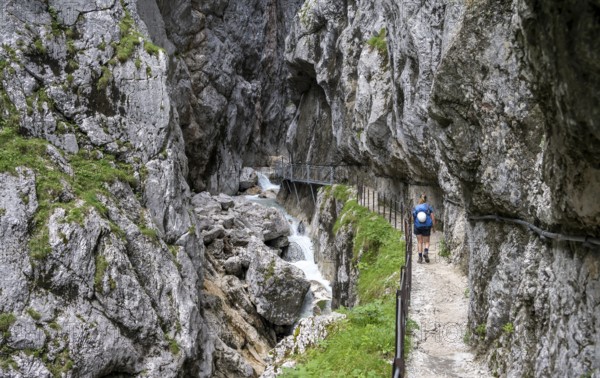 Hiker in a gorge, Hammersbach flows through Höllentalklamm, near Garmisch-Partenkirchen,