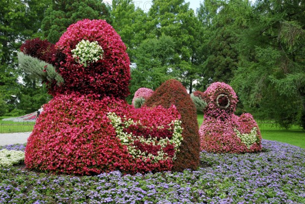 Flower decoration, duck sculpture formed from begonias, Mainau Island, Lake Constance,