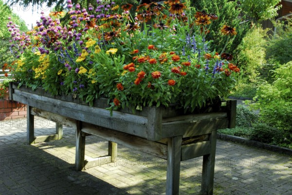 Raised bed with summer flowers