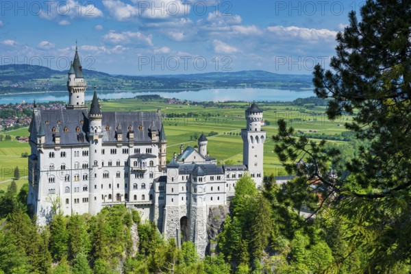 Neuschwanstein Castle near Hohenschwangau, Romantic Road, Ostallgäu, Bavaria, Germany, Europe