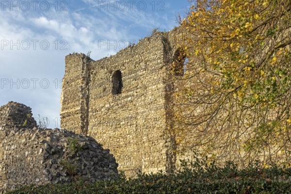 Castle Ruins, Canterbury, Kent, England, United Kingdom, Europe