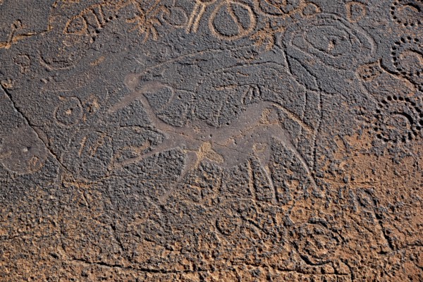 Rock engraving of the Dancing Kudus, Twyfelfontein, Unesco World Heritage Site, Kunene Region,