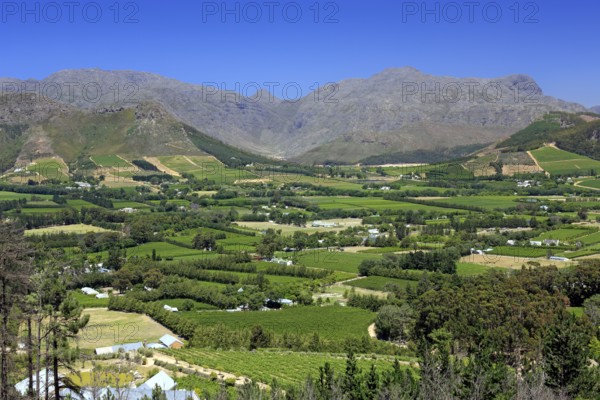Franschhoek, Cape Region, Western Cape, South Africa, Wine Region, Africa