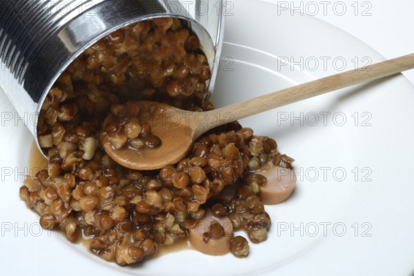 Lentil (Lens culinaris) dish in tin, lentil