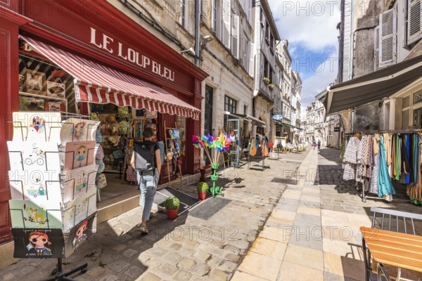 Shops in the pedestrian zone of the old town, La Rochelle, Atlantic coast, Aquitaine, New