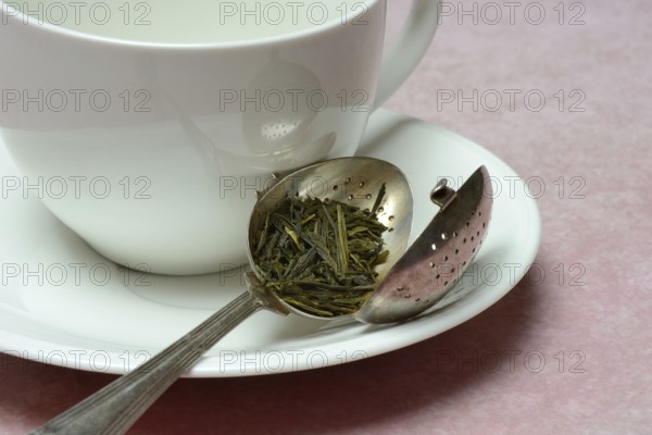 Tea leaves in tea strainer (Sencha) tea, green tea