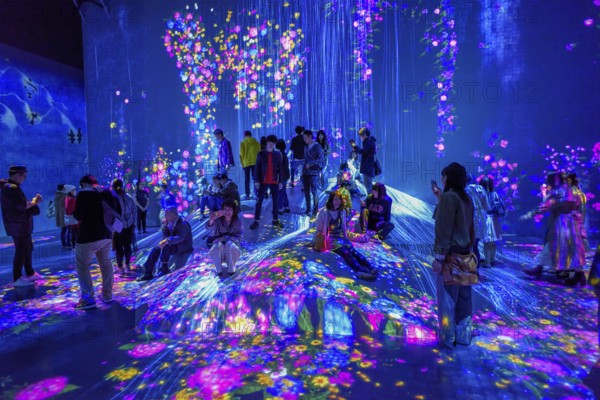 Digital Art Museum, Epson Team Lab Borderless, Odaiba Island, Tokyo, Japan, Asia
