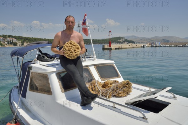 Sponge diver Kristijan Jaram with a giant sponge of the genus Dalmata fina, Krapanj, Šibenik-Knin,