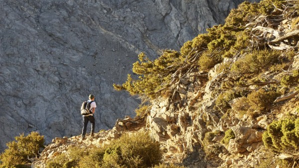 Hikers on hiking trail, Gingilos, Hiking on the Gingilos, Morning light, Samaria Gorge, Omalos,