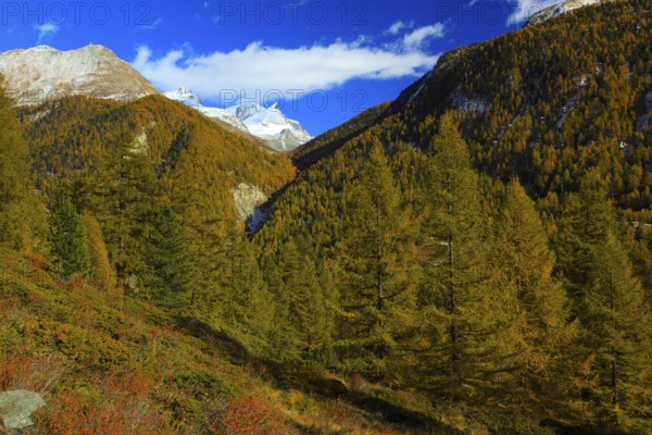 Strahlhorn and Adlerhorn mountains, Valais Alps, Canton Valais, Switzerland, Europe