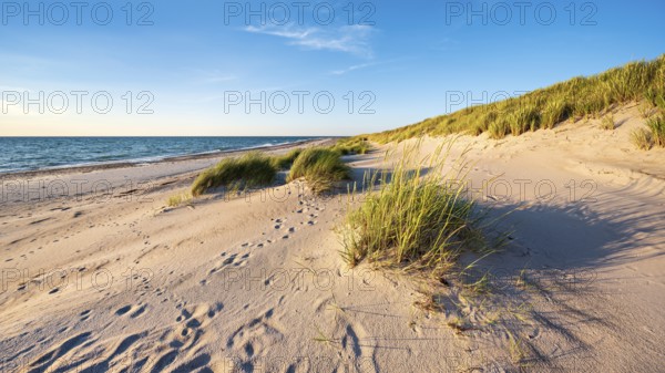 Beach with dunes at Darßer Ort in the National Park, Weststrand, Darß Peninsula,