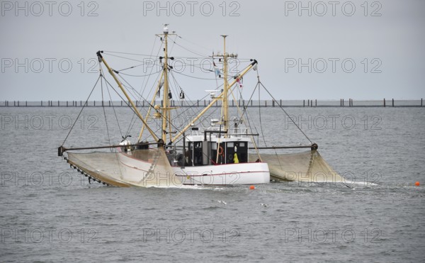 Crab cutter on a fishing trip in the Wadden Sea, Germany, Europe