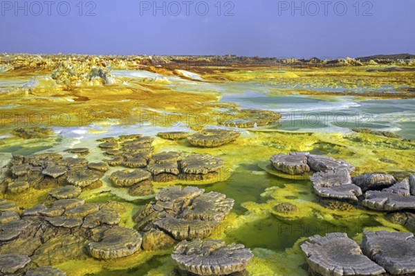 Dallol sulfur springs, hot springs in the Danakil Depression discharge brine and acidic liquid in